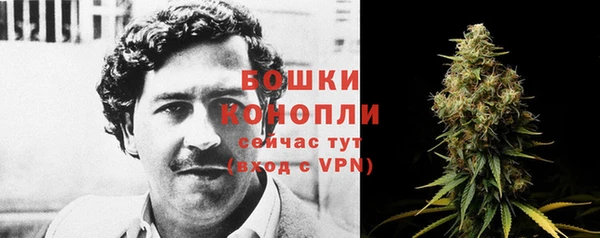 прущие грибы Балахна