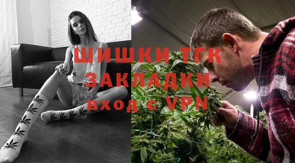 прущие грибы Балахна