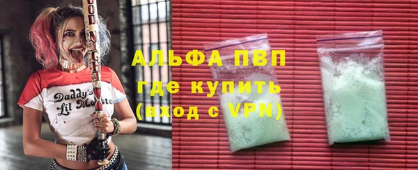 прущие грибы Балахна